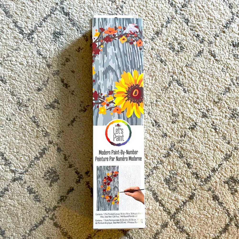 Let’s Paint Paint-any-Number Set